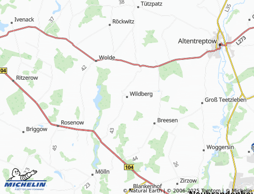 MICHELIN Wildberg map - ViaMichelin