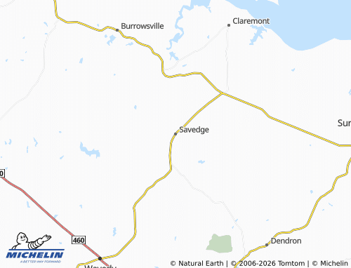 Mappa MICHELIN Savedge - ViaMichelin