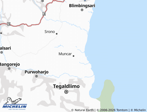 MICHELIN Muncar map - ViaMichelin