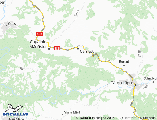 MICHELIN Măgureni map - ViaMichelin