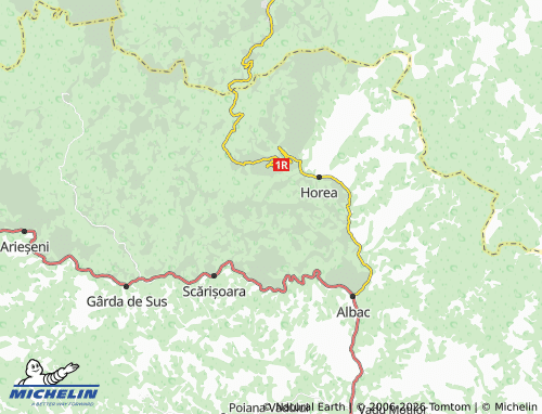 MICHELIN Costești map - ViaMichelin