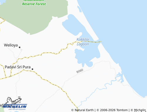 Mappa MICHELIN Thennamaranvadiya - ViaMichelin