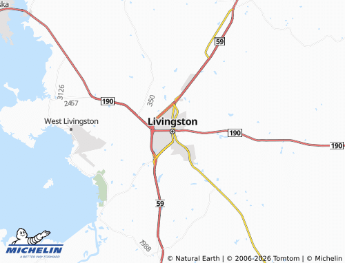 Carte MICHELIN Livingston - ViaMichelin