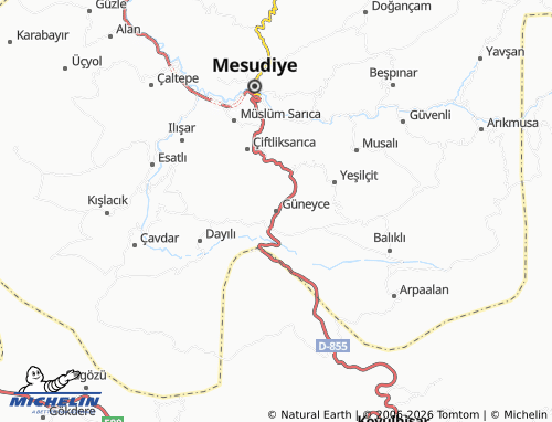 MICHELIN Güneyce map - ViaMichelin