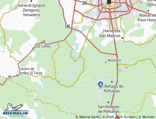 MICHELIN Rinconada del Mezquite map - ViaMichelin