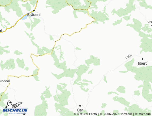 MICHELIN Bărcut map - ViaMichelin