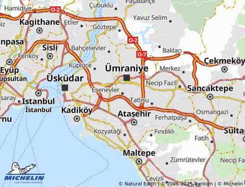 Mapa MICHELIN Esenevler - ViaMichelin