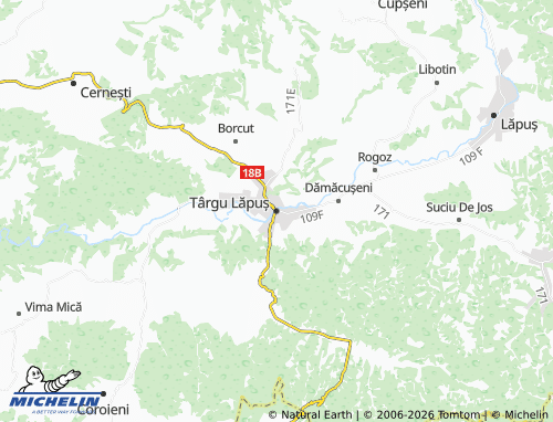 Mappa MICHELIN Târgu Lăpuș - ViaMichelin