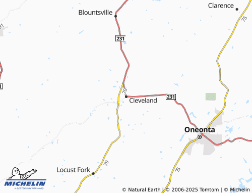 MICHELIN Cleveland map - ViaMichelin