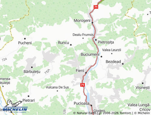 MICHELIN Bădeni map - ViaMichelin