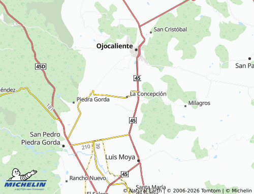 Mappa MICHELIN La Concepción - ViaMichelin