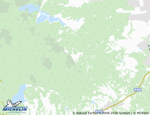 Carte MICHELIN Zhestoki - ViaMichelin