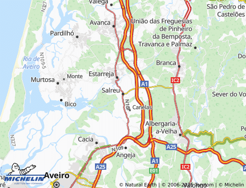 Mapa MICHELIN Salreu - ViaMichelin