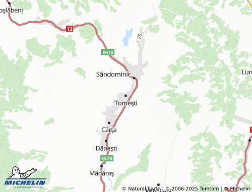 MICHELIN Tomești map - ViaMichelin