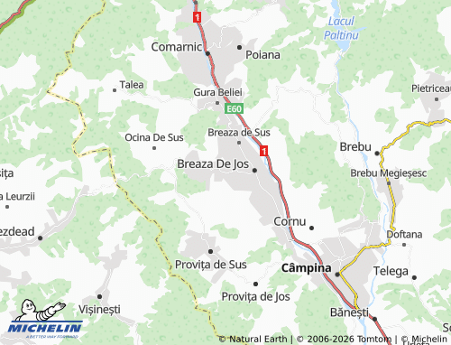 Carte MICHELIN Valea Târsei - ViaMichelin