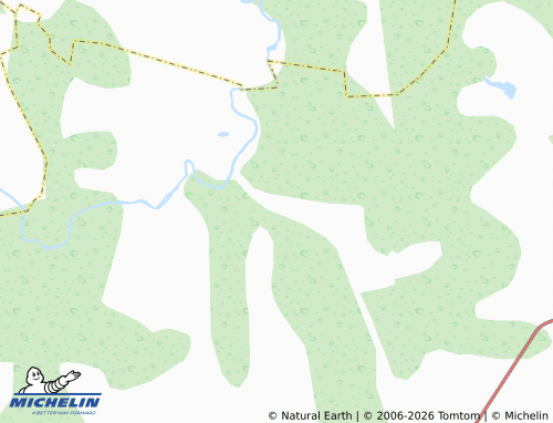 MICHELIN-Landkarte Rodniki - ViaMichelin