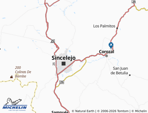 Carte MICHELIN San Miguel - ViaMichelin