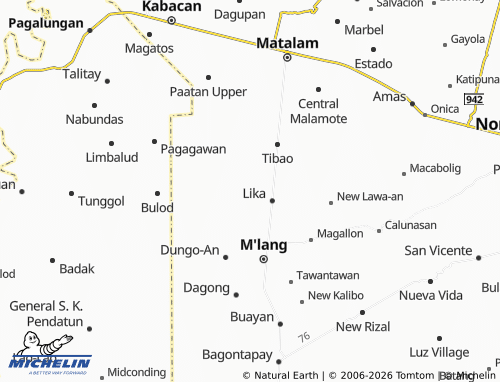 MICHELIN New Antique map - ViaMichelin