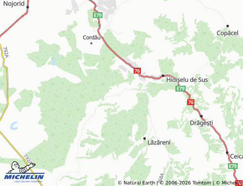 MICHELIN Mierlău map - ViaMichelin
