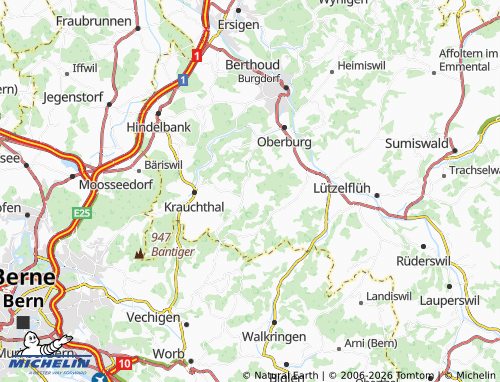 Mappa MICHELIN Hindere Breitenwald - ViaMichelin