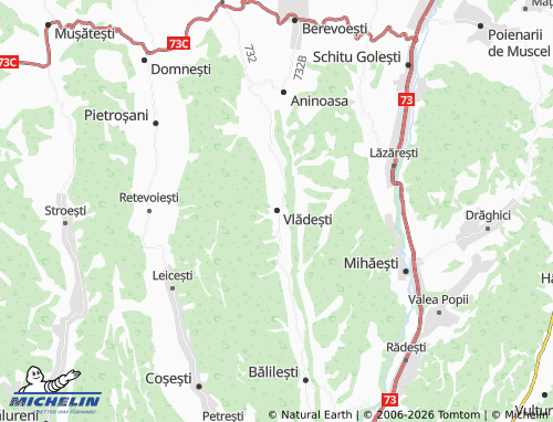 MICHELIN Vlădești map - ViaMichelin