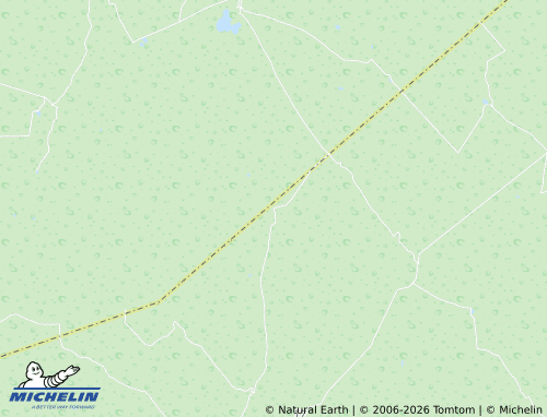 Mappa MICHELIN Bajío del Ciriaco - ViaMichelin