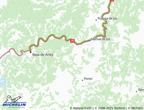 MICHELIN Dealu Caselor map - ViaMichelin