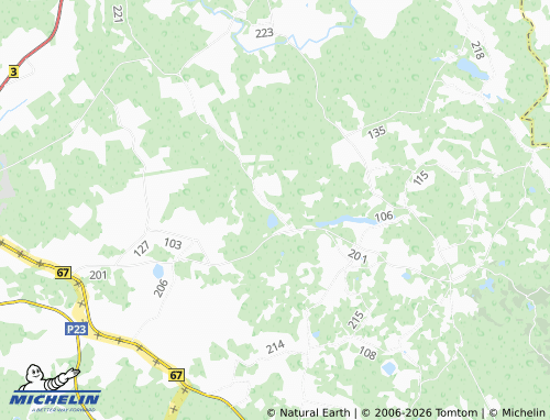 MICHELIN Pikkjärve map - ViaMichelin