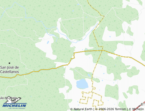MICHELIN Pino Suárez map - ViaMichelin
