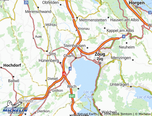Carte MICHELIN Cham - ViaMichelin