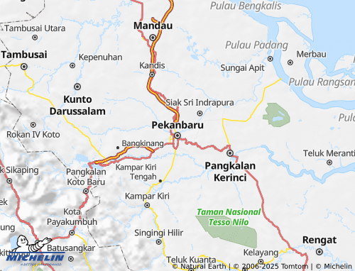 MICHELIN Pekanbaru map - ViaMichelin