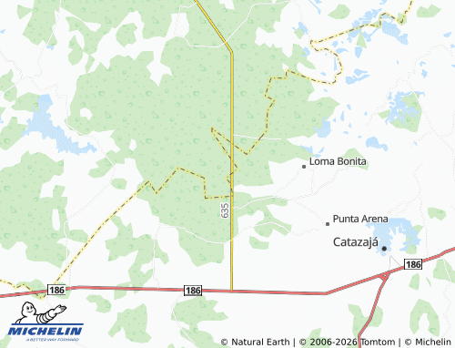 Mapa MICHELIN Corralillo Segunda Sección, La Princesa - ViaMichelin