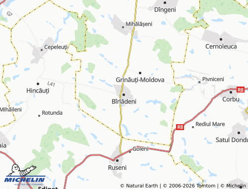 Mappa MICHELIN Bîrlădeni - ViaMichelin
