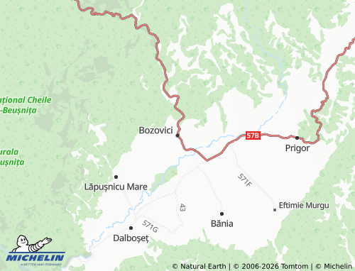 Mappa MICHELIN Bozovici - ViaMichelin