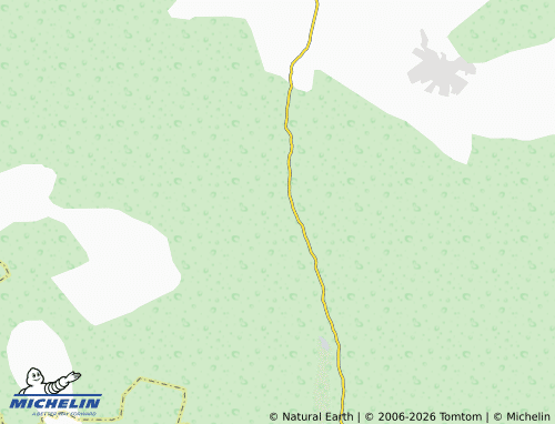 MICHELIN-Landkarte Ust'-Shlyk - ViaMichelin