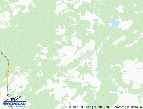 MICHELIN-Landkarte Yeliseyevo - ViaMichelin