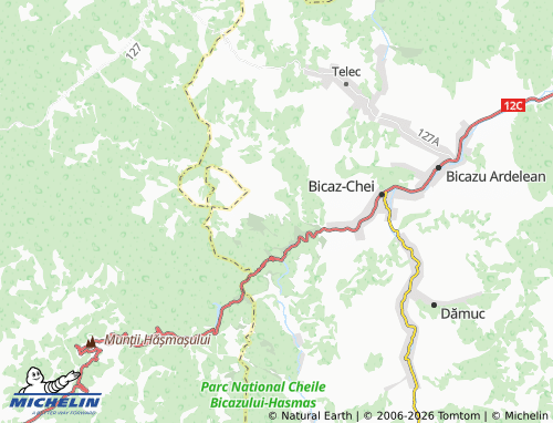 Mapa MICHELIN Bârnadu - ViaMichelin
