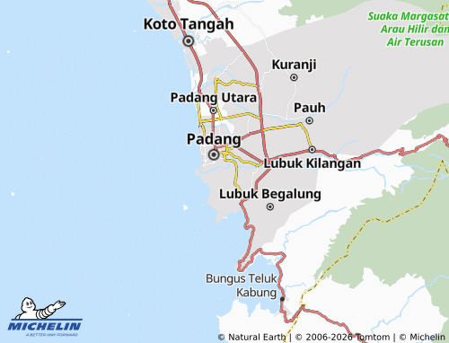 MICHELIN Seberang Palinggam map - ViaMichelin