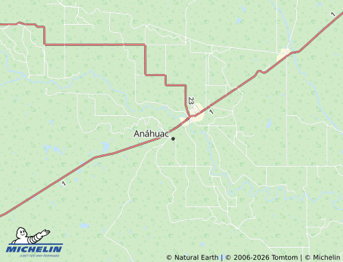 Mappa MICHELIN Carlos Salinas de Gortari - ViaMichelin