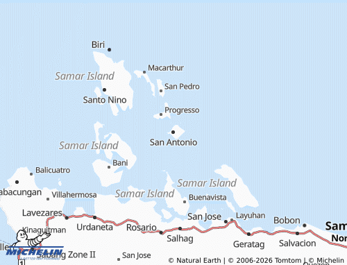 MICHELIN San Antonio map - ViaMichelin