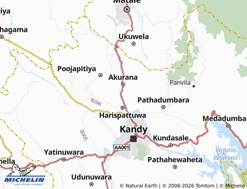 MICHELIN Ambathenna map - ViaMichelin