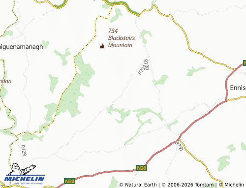 Kaart MICHELIN Rathnure - ViaMichelin