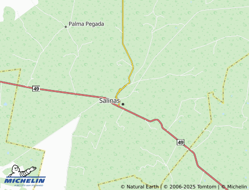 MICHELIN Club de Leones map - ViaMichelin