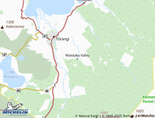 MICHELIN Waiotaka Valley map - ViaMichelin