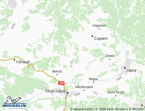 MICHELIN Stoiceni map - ViaMichelin