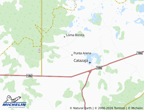 Mapa MICHELIN Punta Arena - ViaMichelin
