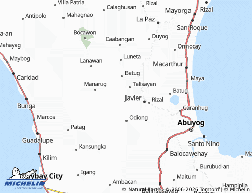 MICHELIN Laray map - ViaMichelin