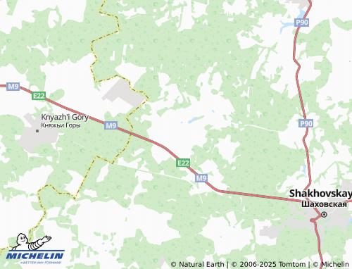 MICHELIN Gorodkovo map - ViaMichelin