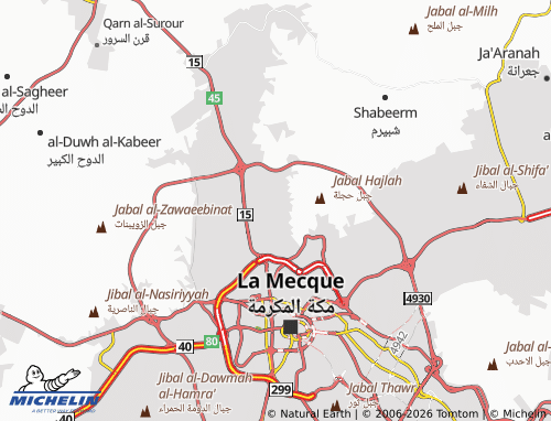 Carte MICHELIN altaneim - ViaMichelin