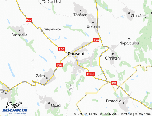 MICHELIN Causeni map - ViaMichelin